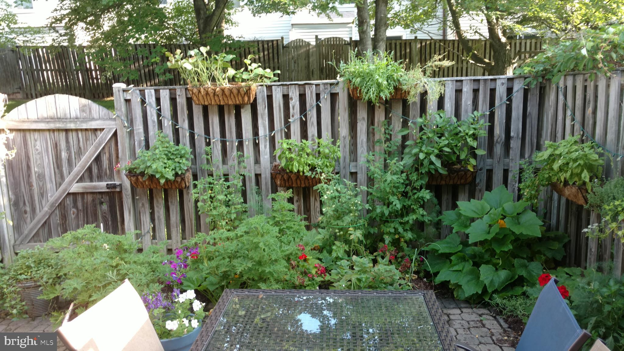 6104 Declaration Square Alexandria, VA 22312 - Photo 29 of 30