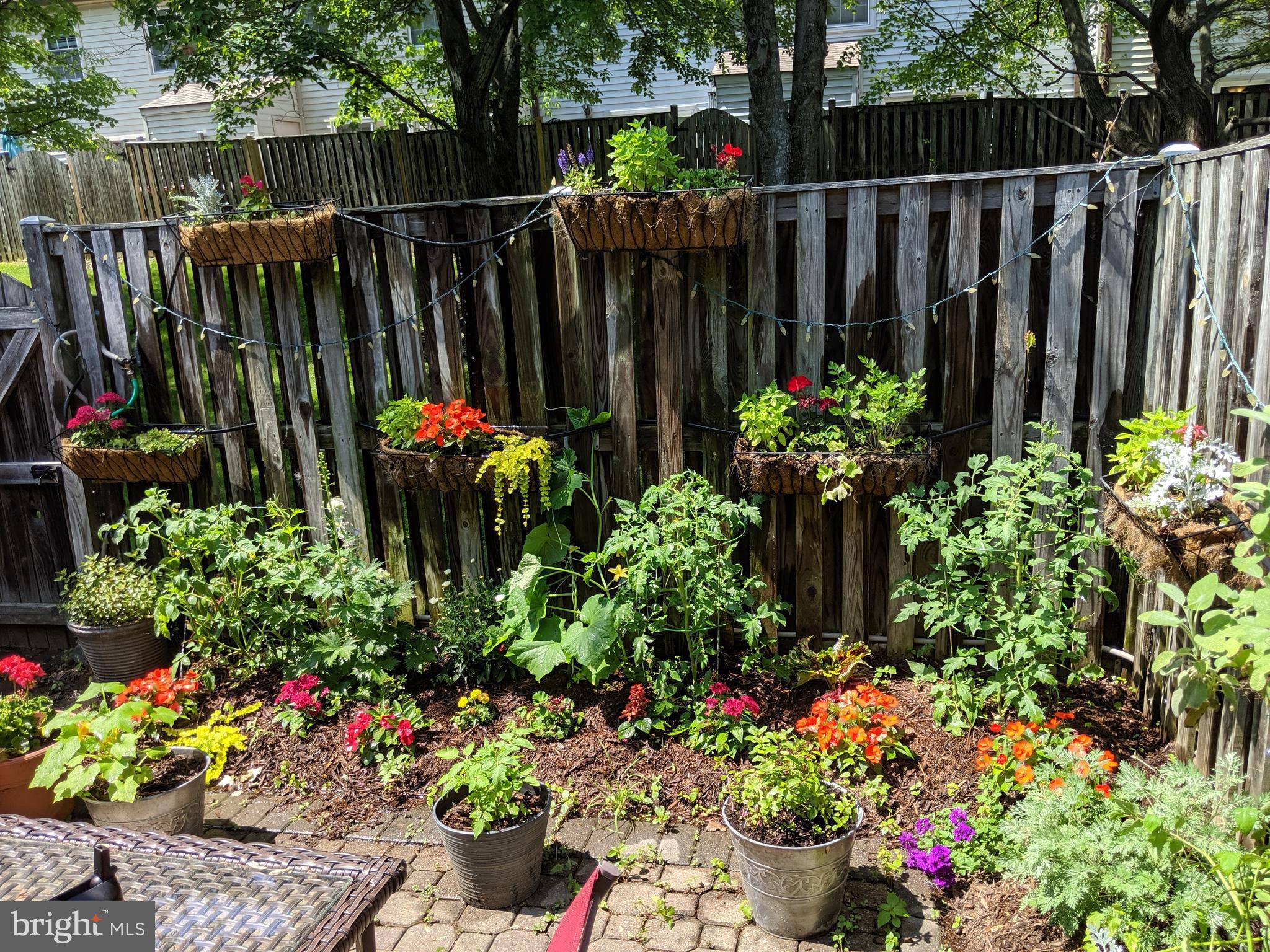 6104 Declaration Square Alexandria, VA 22312 - Photo 30 of 30