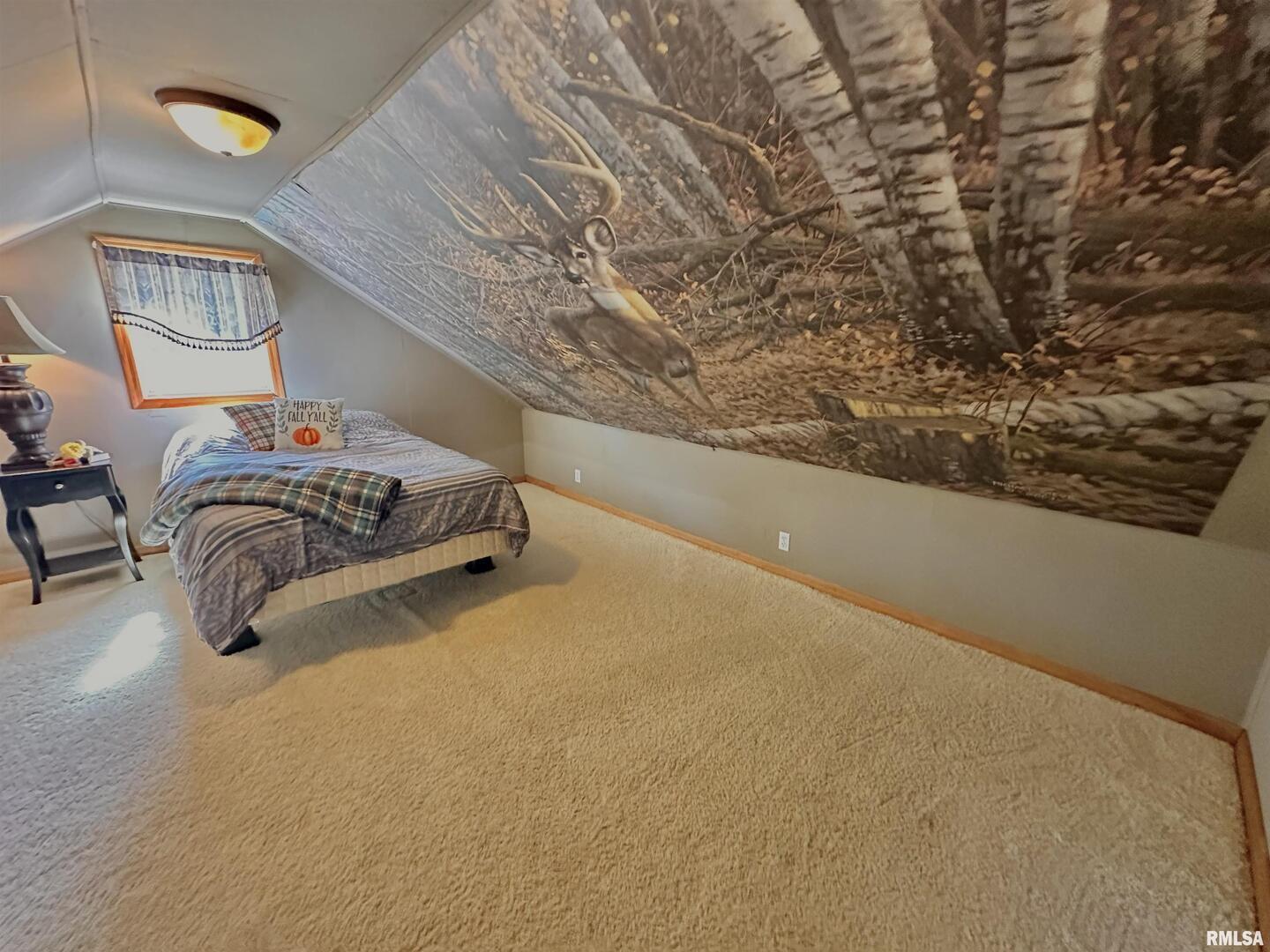 878 County Road 600N Sims, IL 62886 - Photo 52 of 82