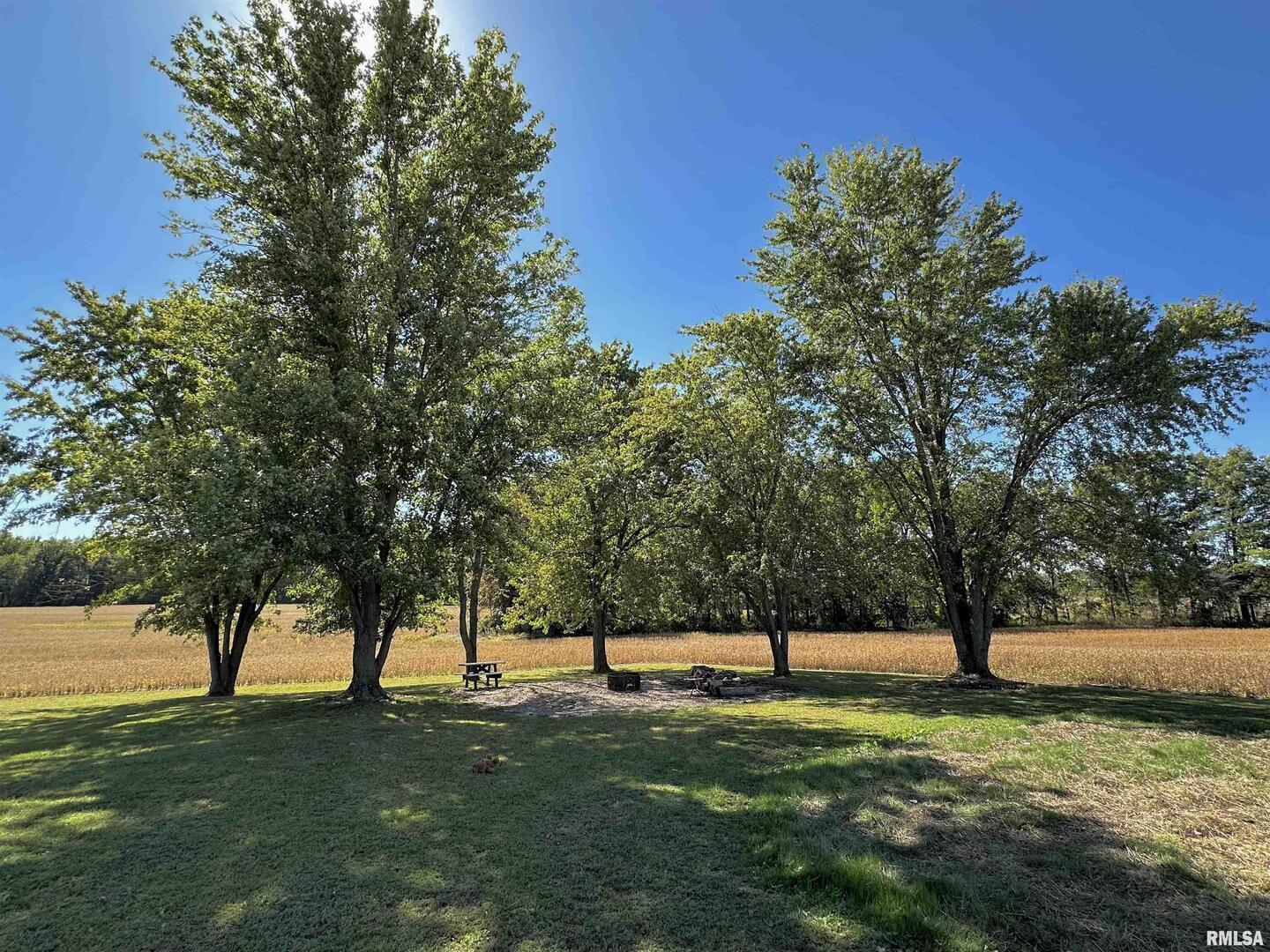 878 County Road 600N Sims, IL 62886 - Photo 69 of 82 a view of a trees with a yard