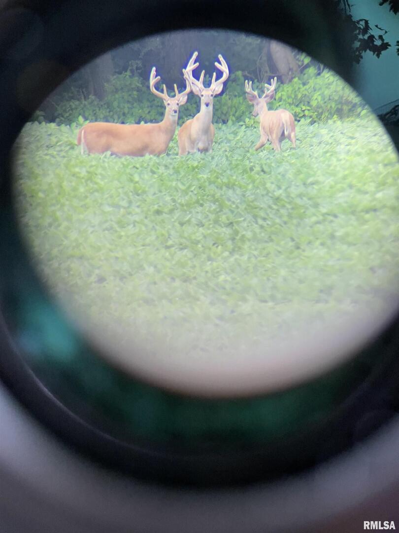 878 County Road 600N Sims, IL 62886 - Photo 78 of 82 a vase of flowers sitting on a table
