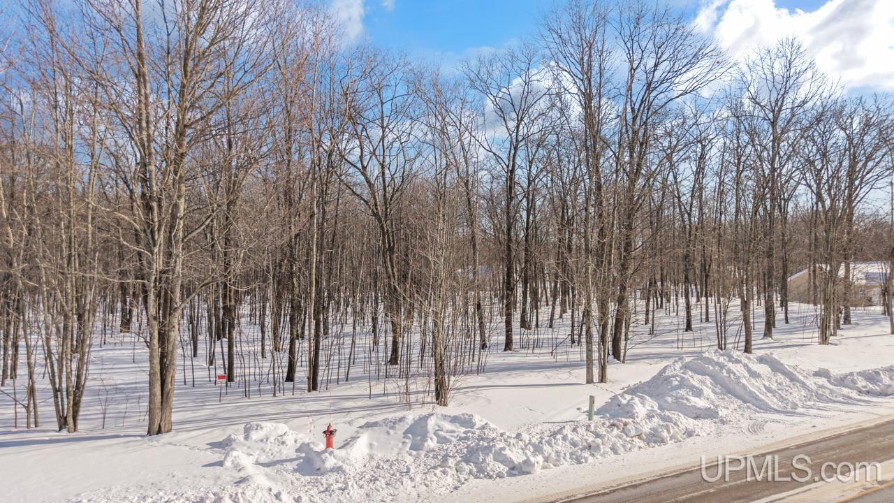 57 Tipperary Road Gladstone, MI 49837 - Photo 12 of 20