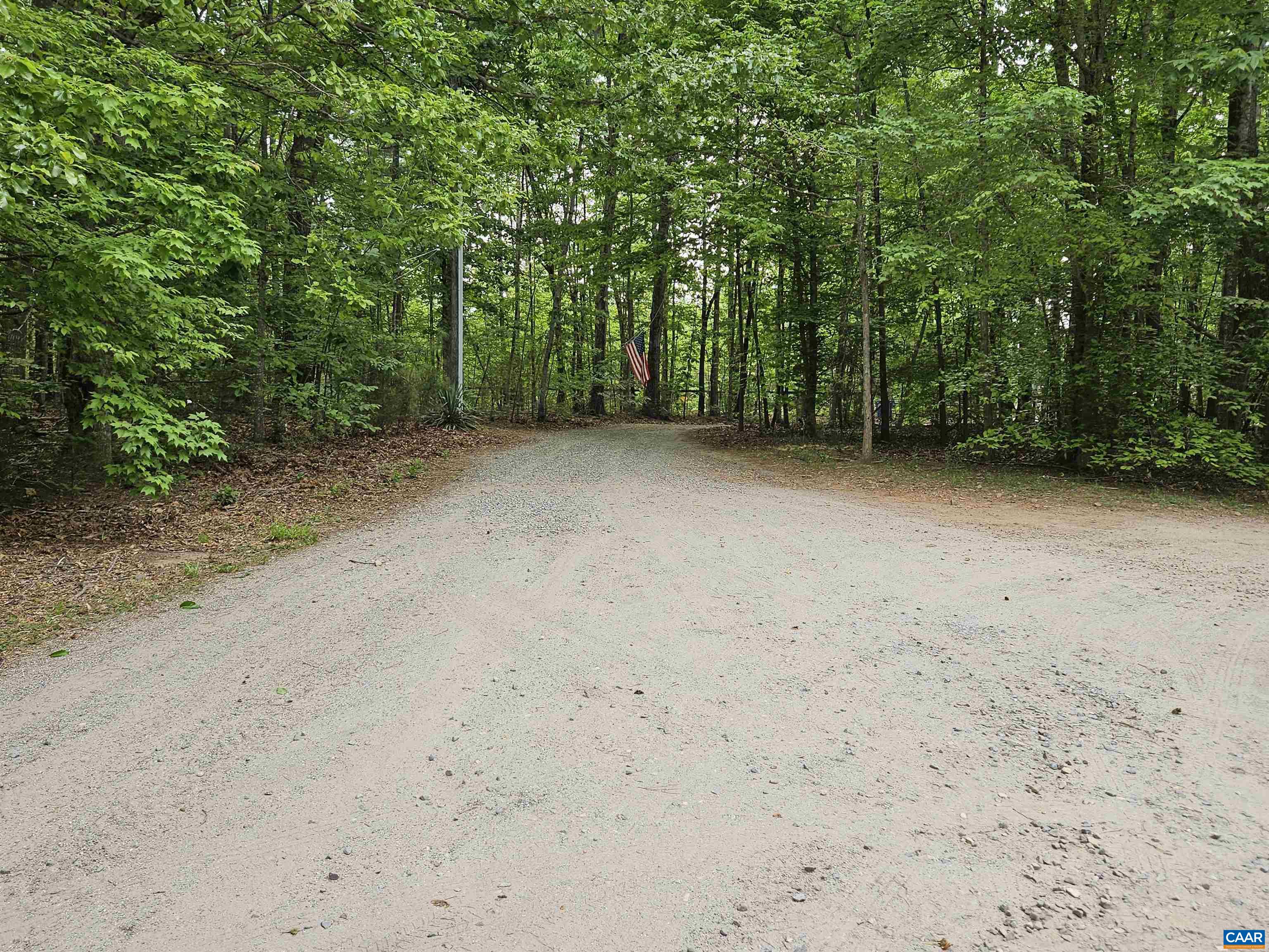 981 Scotts Bottom Road Dillwyn, VA 23936 - Photo 32 of 62 a view of a forest with trees in the background