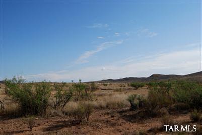 0 East Indian Ridge Road Pearce, AZ 85625 - Photo 20 of 22