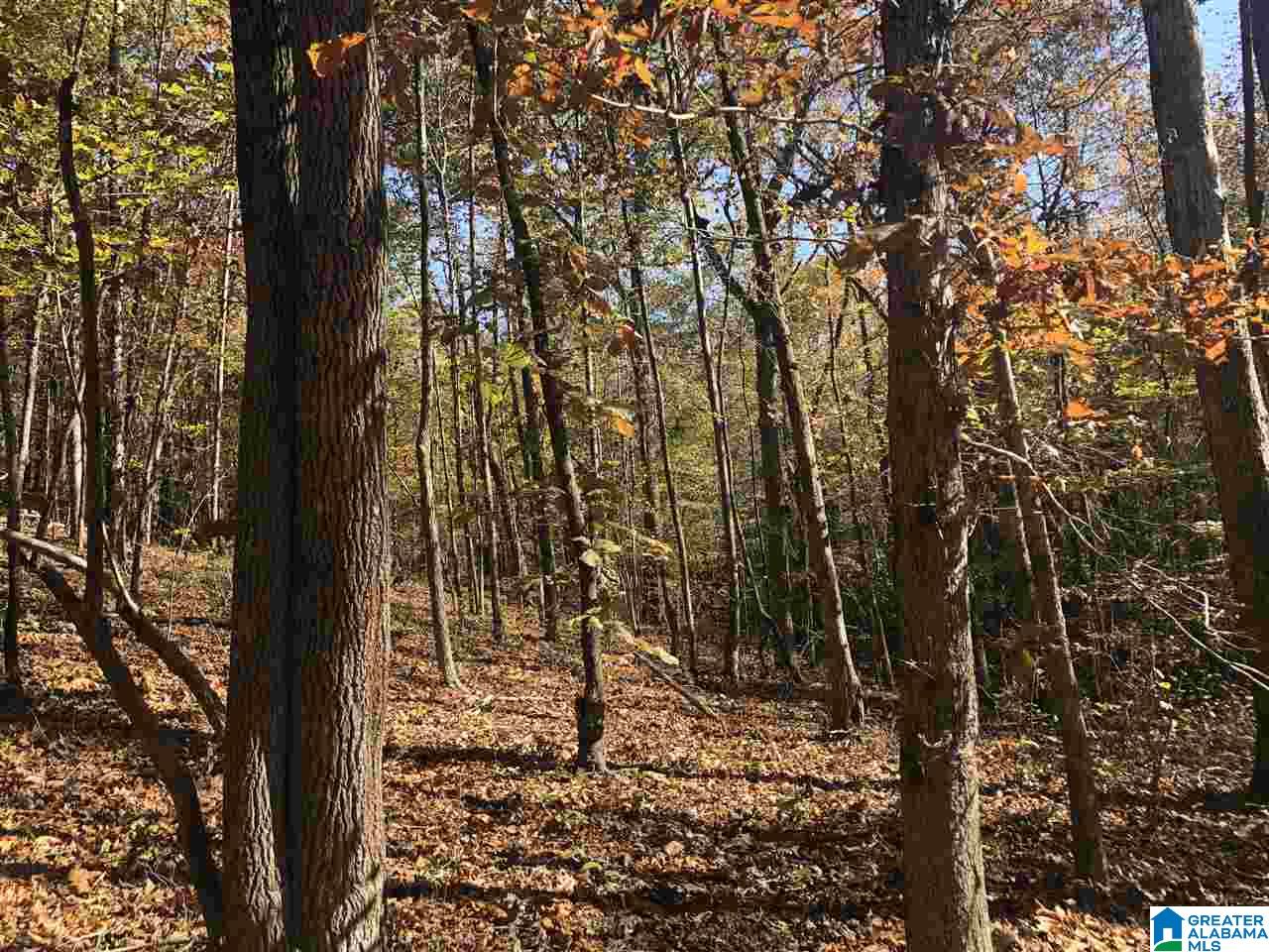 39 County Road, Unit 4J Woodland, AL 36280 - Photo 1 of 8