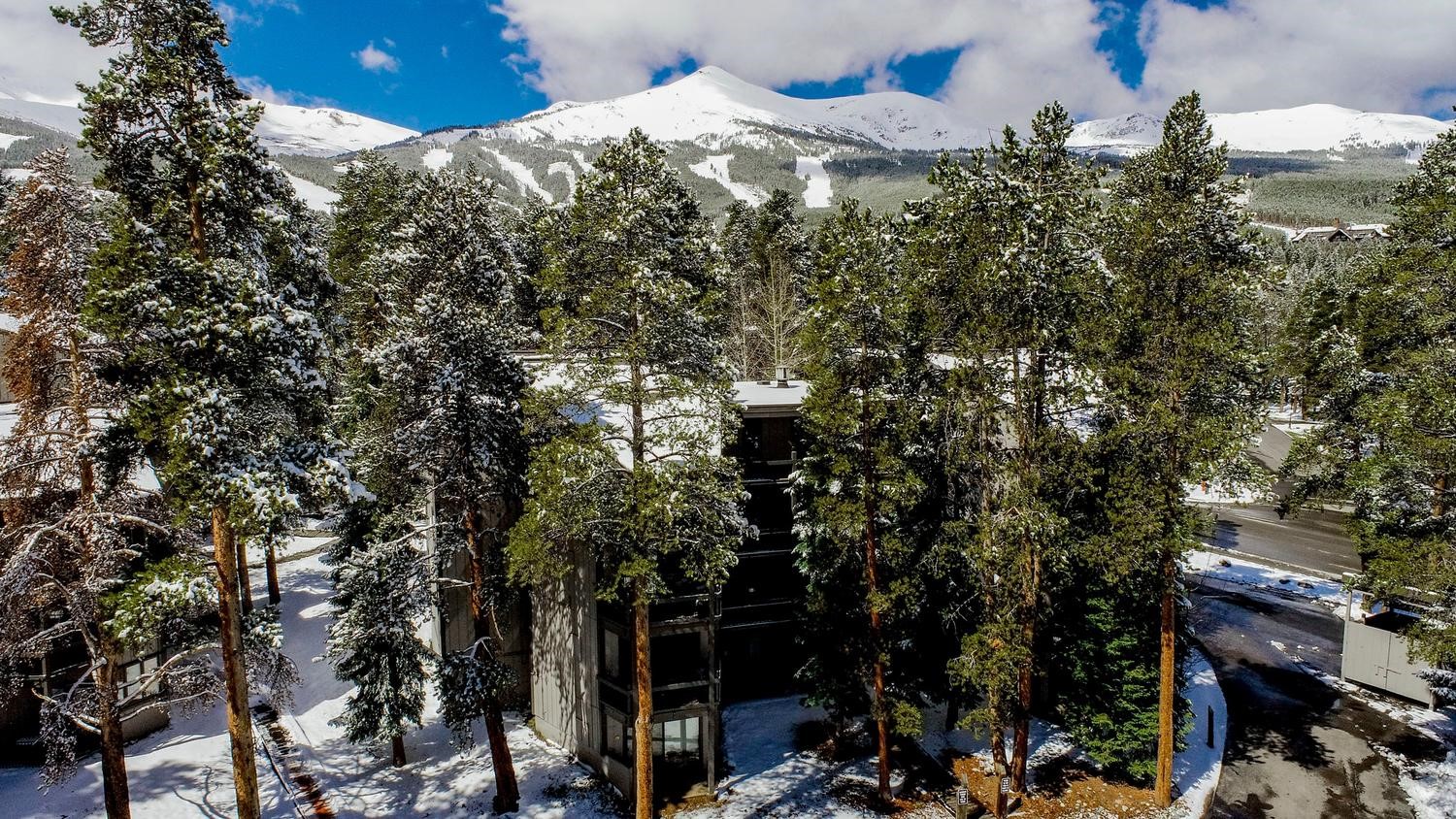 1075 Ski Hill Road, Unit 46 Breckenridge, CO 80424 - Photo 29 of 41 a outdoor space with lots of tree