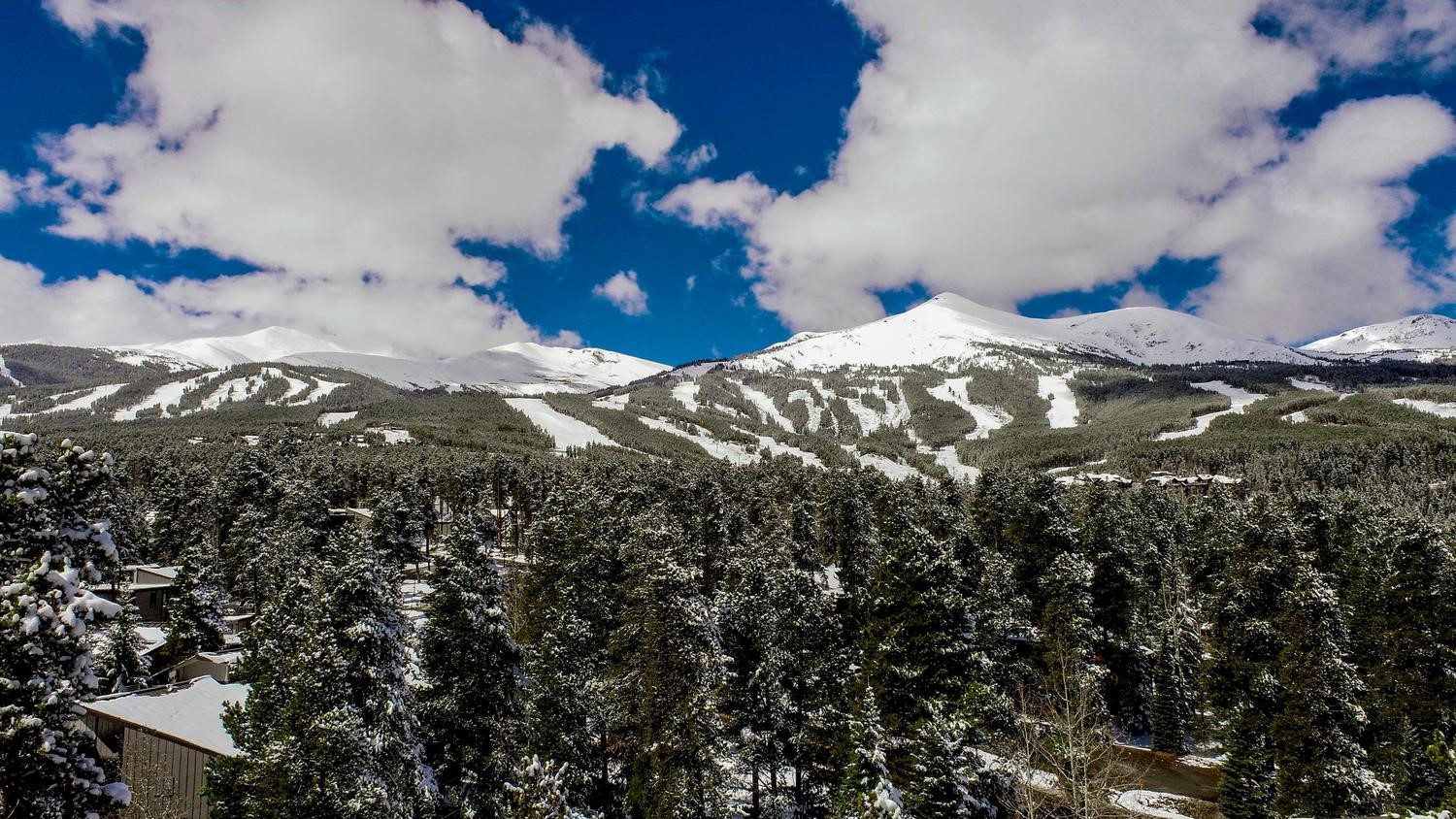 1075 Ski Hill Road, Unit 46 Breckenridge, CO 80424 - Photo 3 of 41 a view of a tree