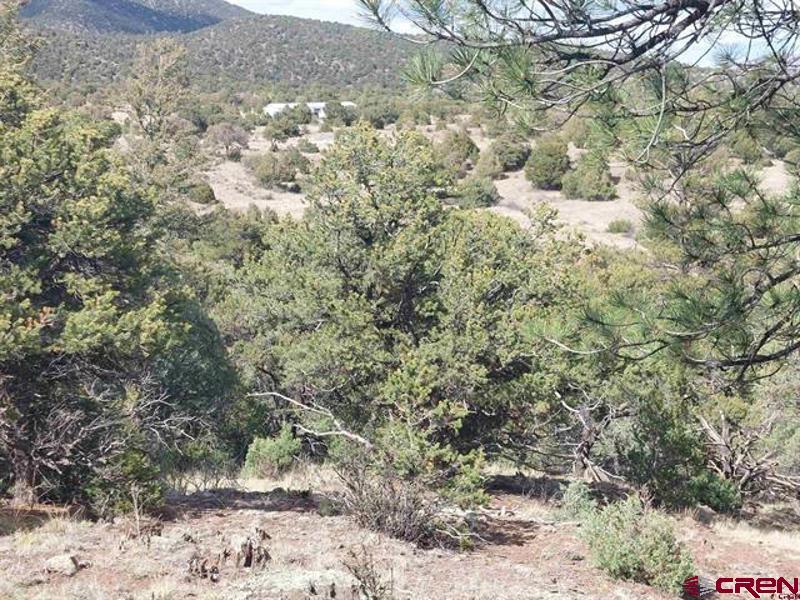 256 Sunrise Road South Fork, CO 81154 - Photo 2 of 6