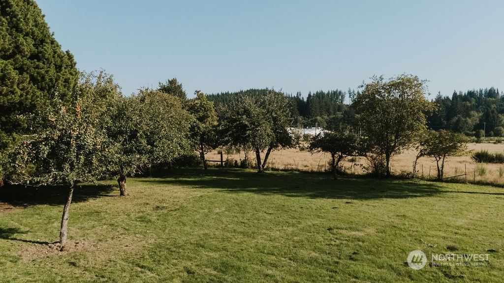 310 G Street Forks, WA 98331 - Photo 40 of 40 a view of outdoor space
