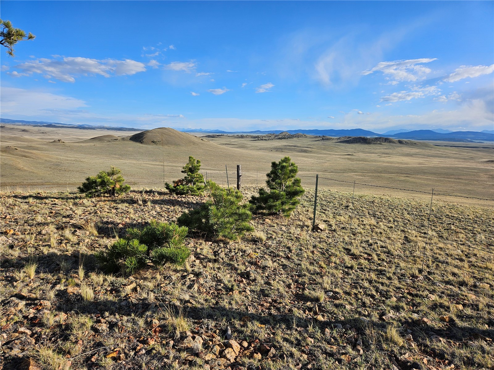 Pcs#24142 Antero Road Hartsel, CO 80449 - Photo 36 of 50