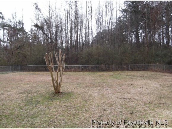 1345 Jim Johnson Road Fayetteville, NC 28312 - Photo 20 of 25 Gallery Image 20
