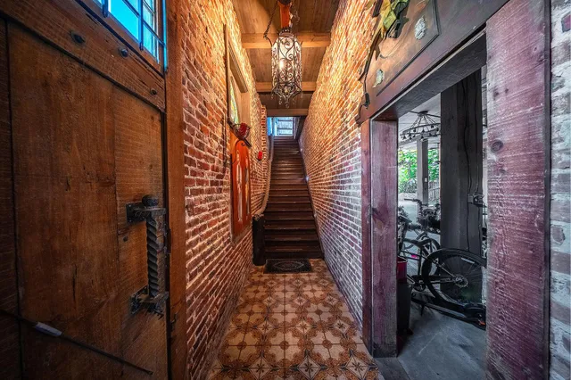 a close up of a plant in a garden