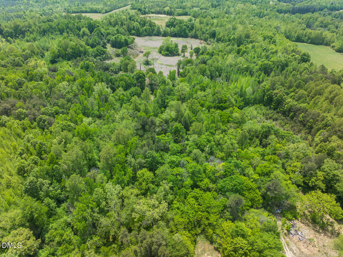 0 Pentecost Road Cedar Grove, NC 27231 - Photo 25 of 45