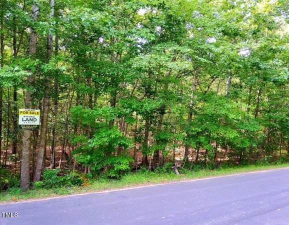 a view of a park with plants and trees