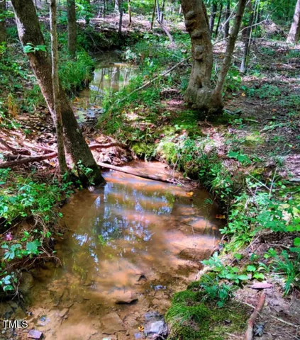 a view of a garden with plants