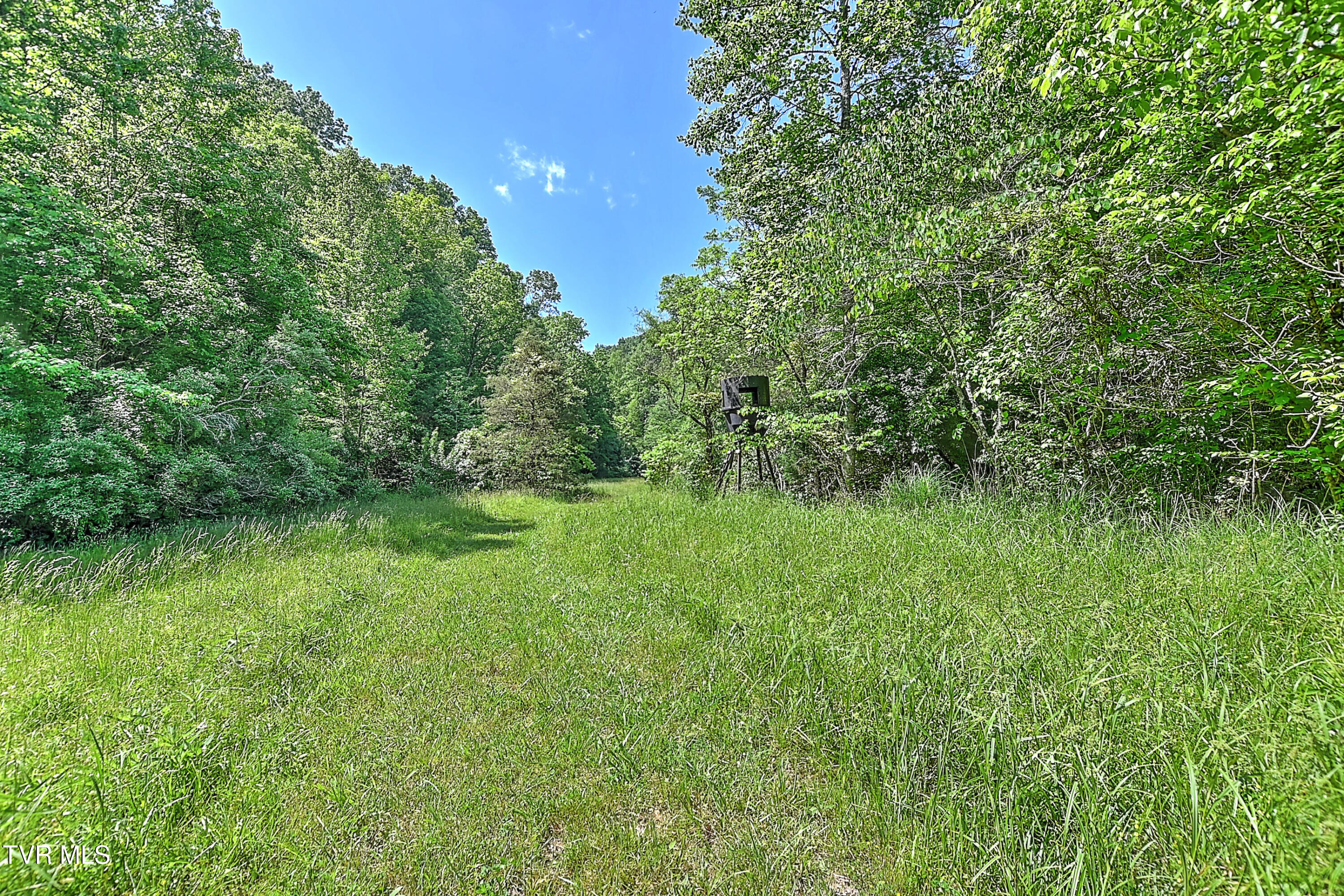 3388 Flower Gap Road Blackwater, VA 24221 - Photo 138 of 161 3388 Flower Gap Rd DS-139