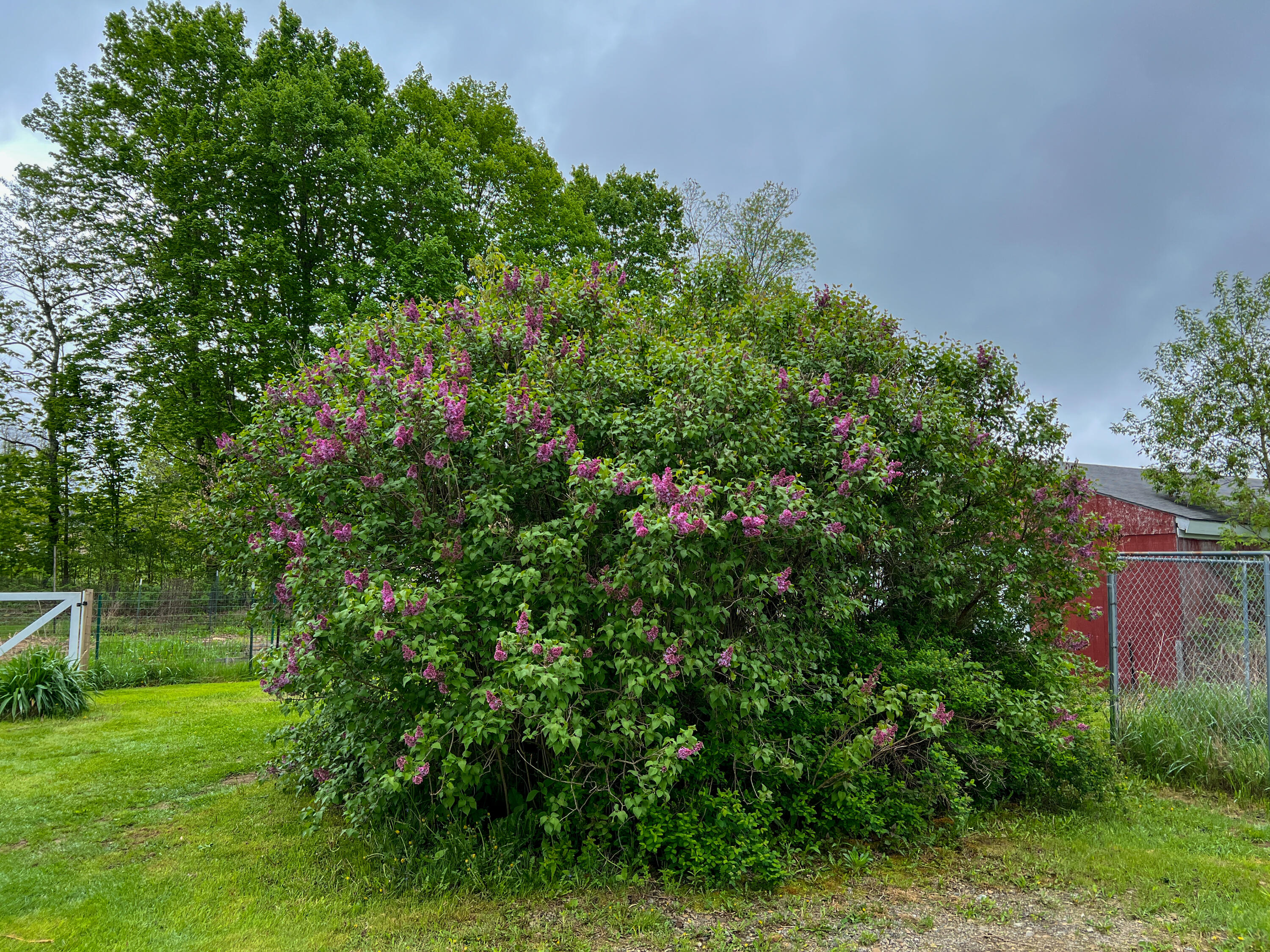 107 South Road South China, ME 04358 - Photo 49 of 58 20220520_144131338_iOS