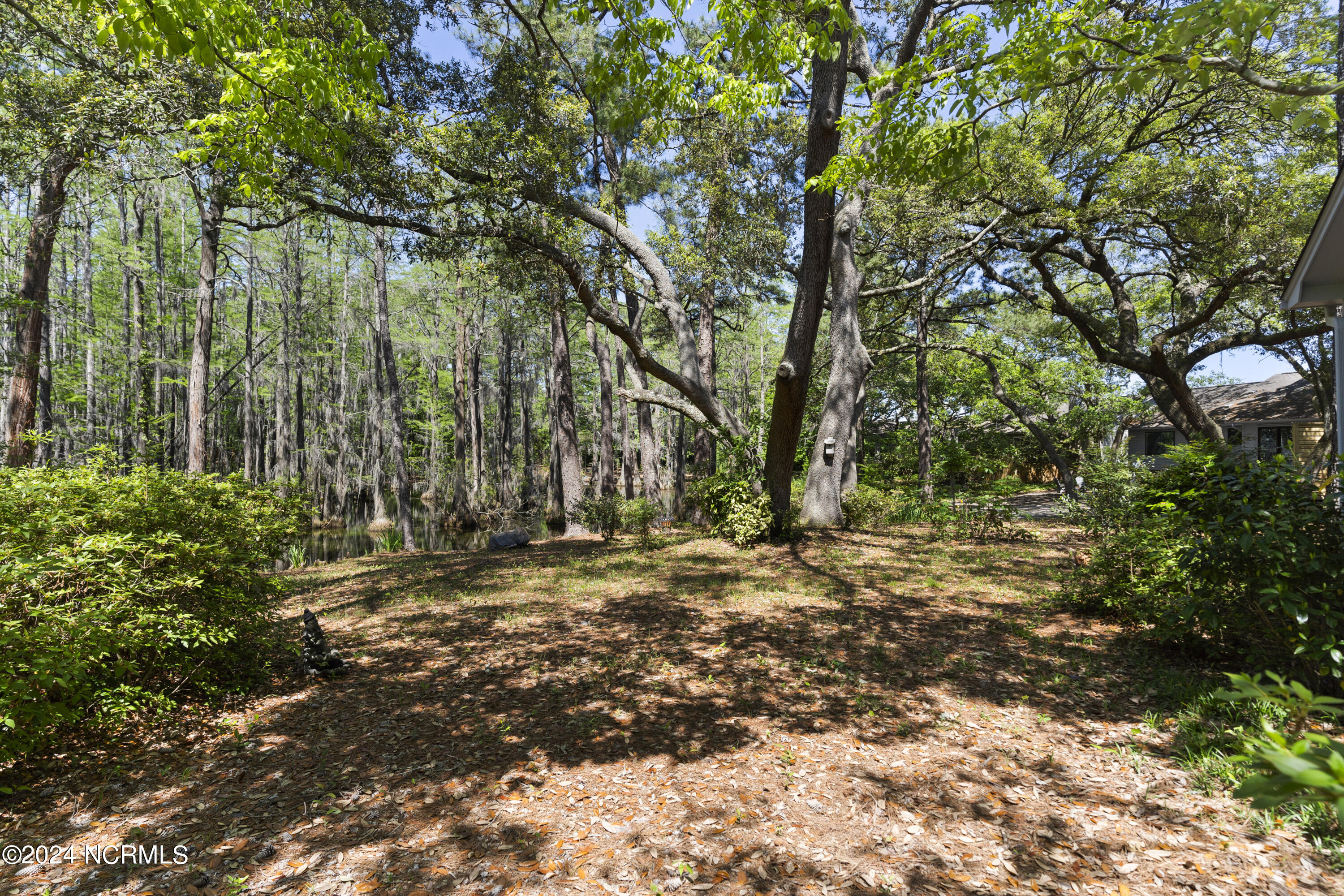 4113 Red Bird Road Wilmington, NC 28412 - Photo 56 of 63 DSC06480