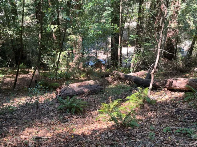 $99,000 | 55 Conifer Way, Woodacre, CA 94973