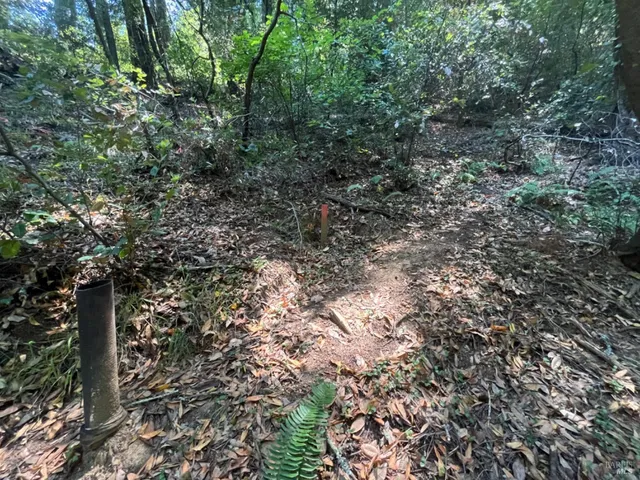 $99,000 | 55 Conifer Way, Woodacre, CA 94973