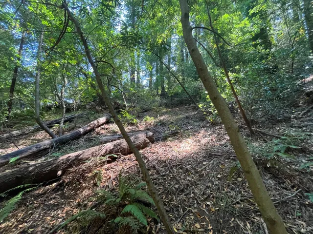 $99,000 | 55 Conifer Way, Woodacre, CA 94973