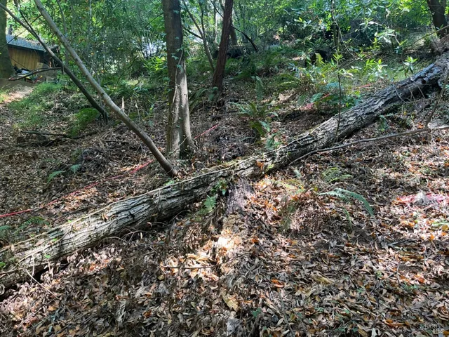 $99,000 | 55 Conifer Way, Woodacre, CA 94973