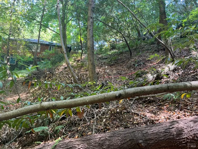 $99,000 | 55 Conifer Way, Woodacre, CA 94973