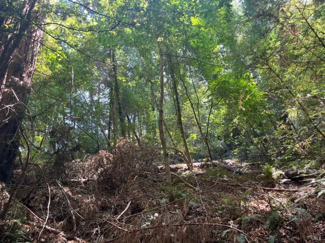 $99,000 | 55 Conifer Way, Woodacre, CA 94973