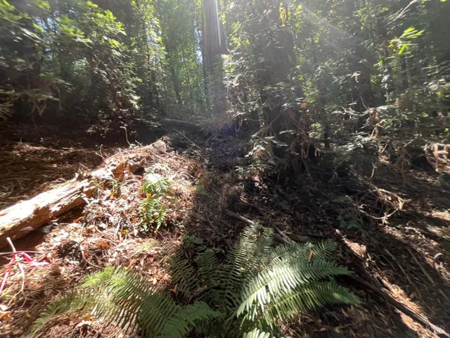 $99,000 | 55 Conifer Way, Woodacre, CA 94973