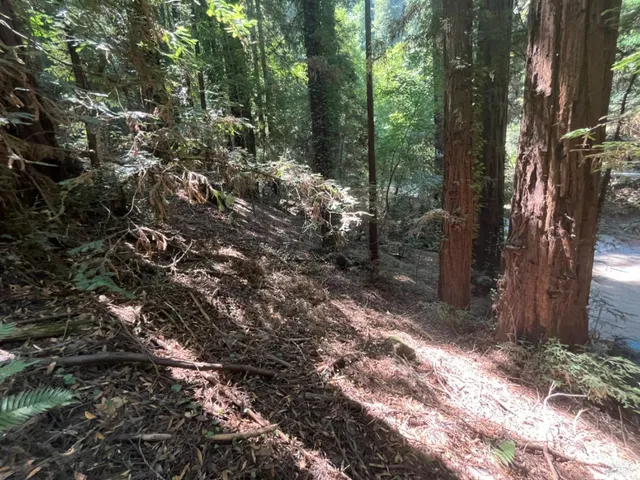 $99,000 | 55 Conifer Way, Woodacre, CA 94973