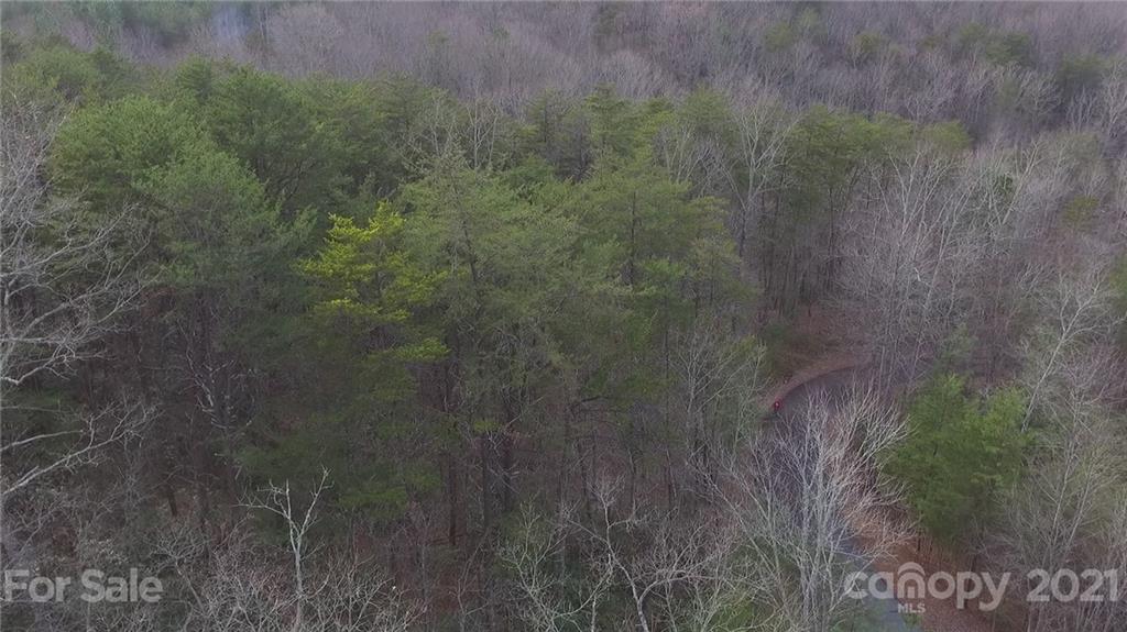0 Stone Creek Dr Lake Rutherfordton, NC 28139 - Photo 9 of 12 a view of a dry yard