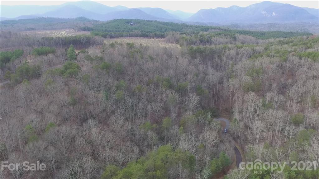 0 Stone Creek Dr Lake Rutherfordton, NC 28139 - Photo 10 of 12 a view of a lush green forest with trees in the background