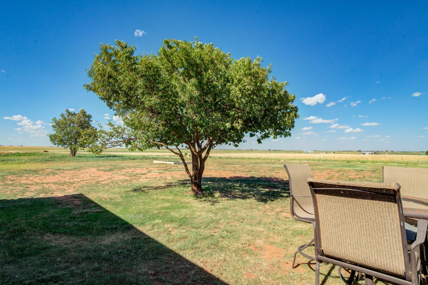 6355 East Fm 41 Ropesville, TX 79358 - Photo 36 of 38 Photo 36