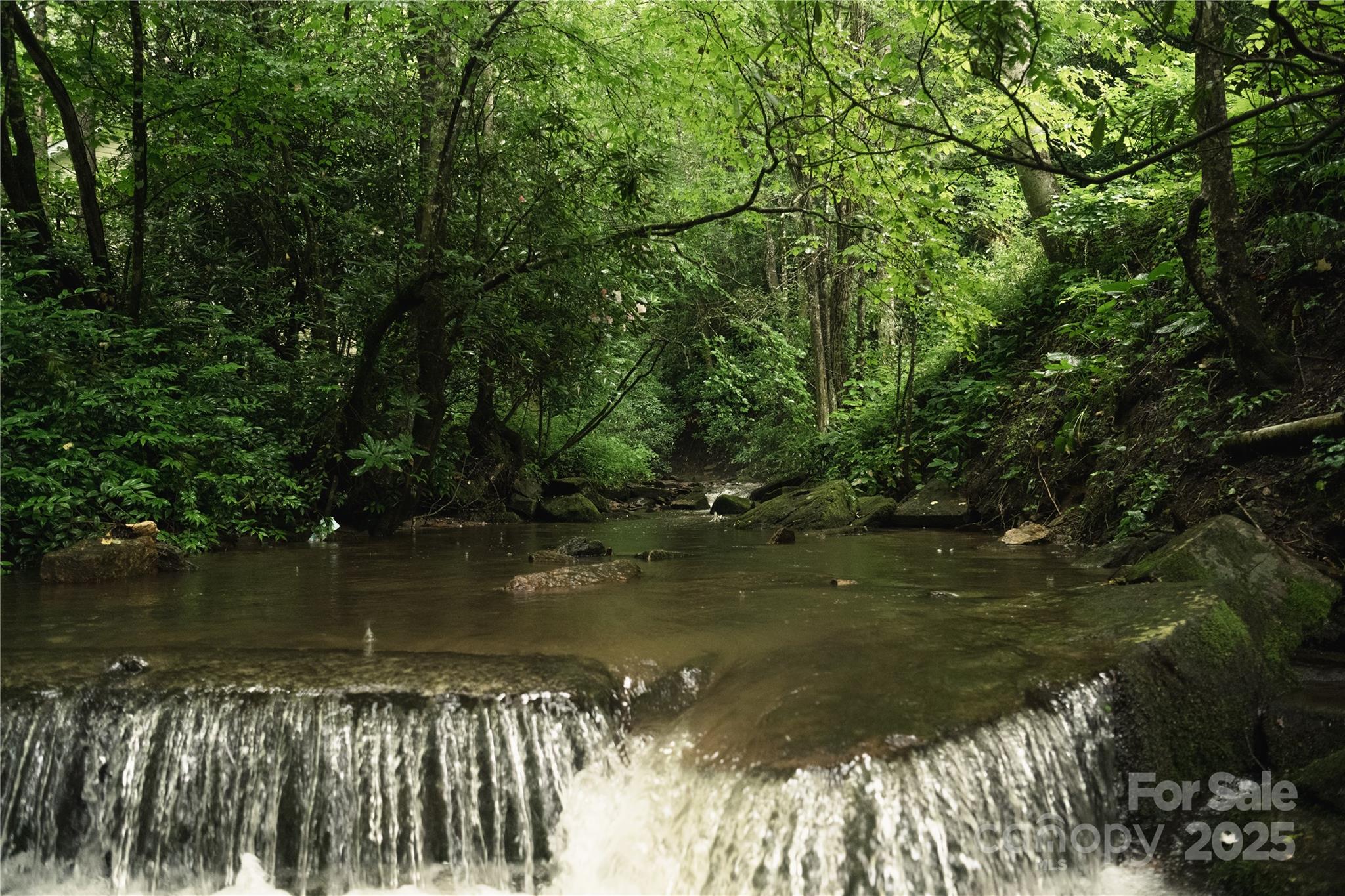 4050 Pickens Highway Rosman, NC 28772 - Photo 29 of 31