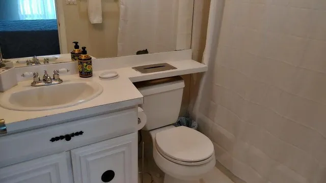 a bathroom with a sink and a toilet