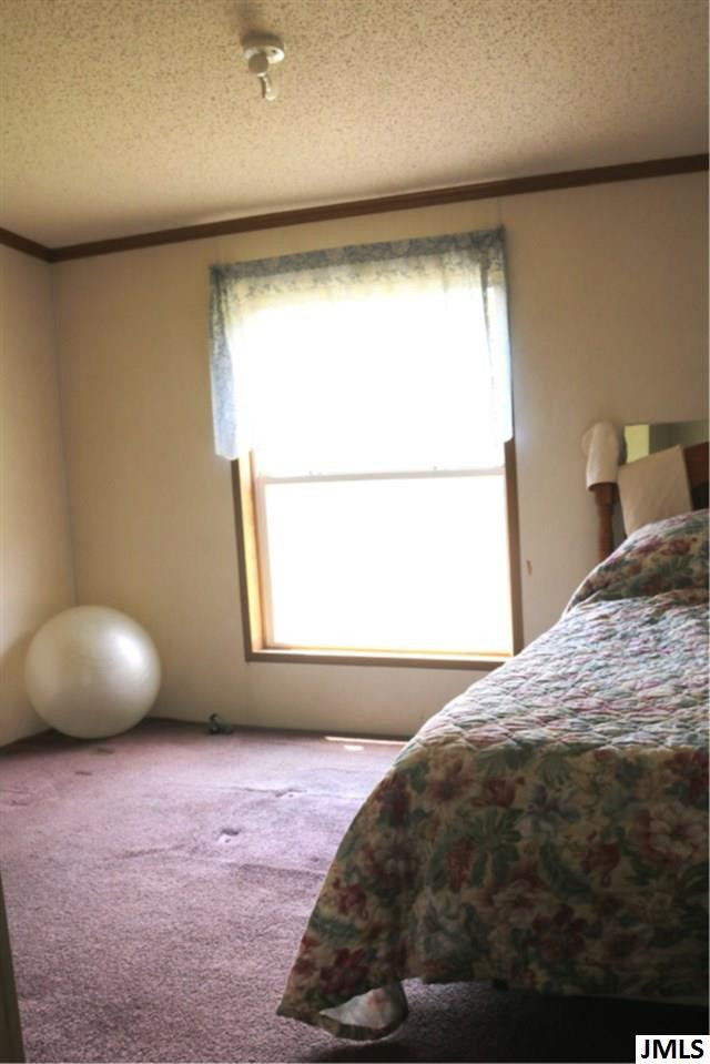 6464 Jordan Road Jackson, MI 49201 - Photo 14 of 26 Photo 14