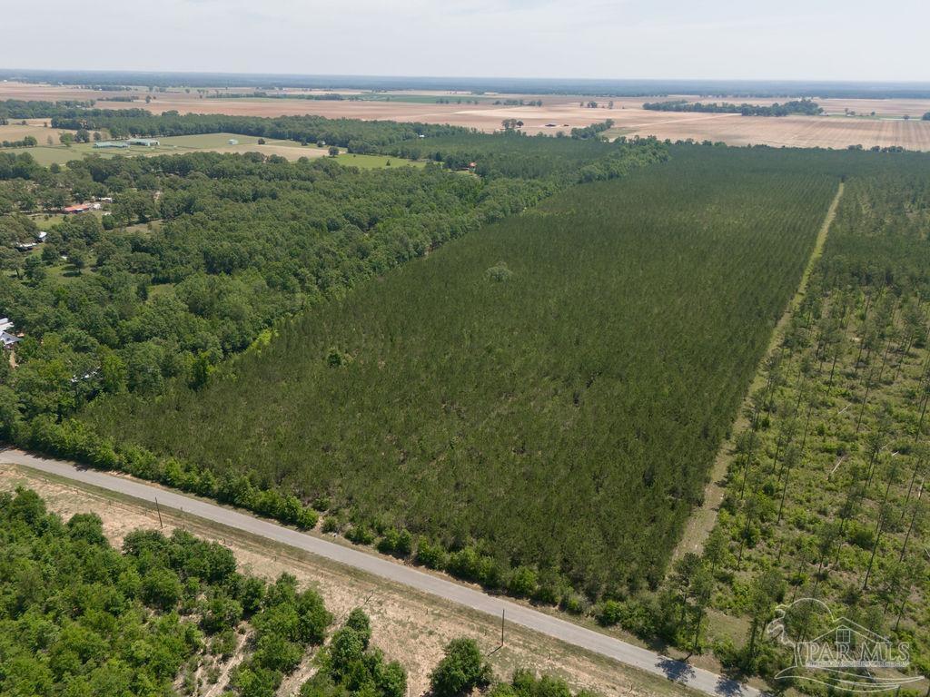 12 Bud Diamond Road Jay, FL 32565 - Photo 11 of 19