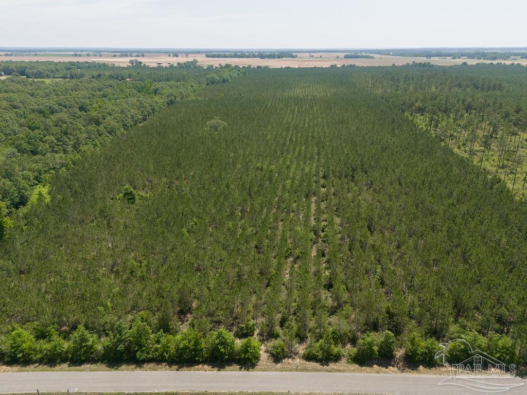 12 Bud Diamond Road Jay, FL 32565 - Photo 17 of 19