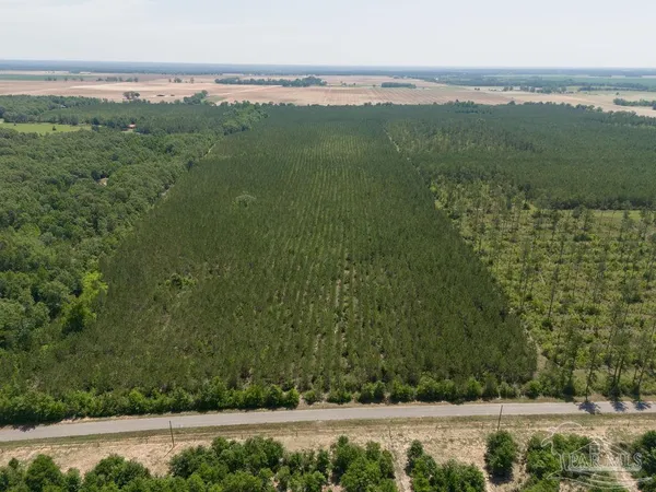 $589,000 | 12 Bud Diamond Road, Jay, FL 32565
