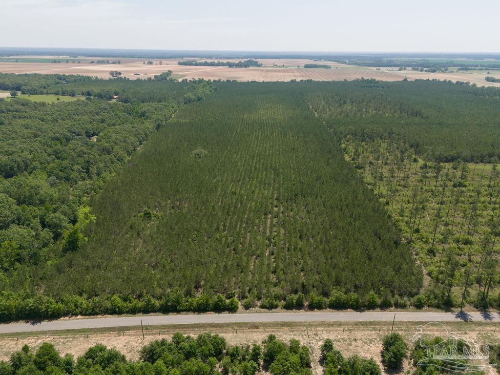 12 Bud Diamond Road Jay, FL 32565 - Photo 7 of 19