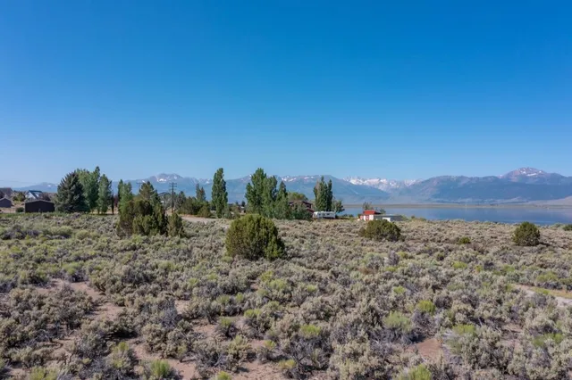 a view of a yard with a mountain in the background