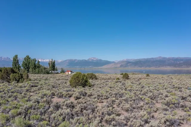 a view of a dry yard with mountains in the background