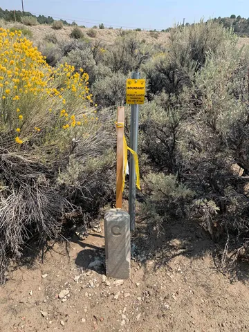 a view of a yard with water fountain