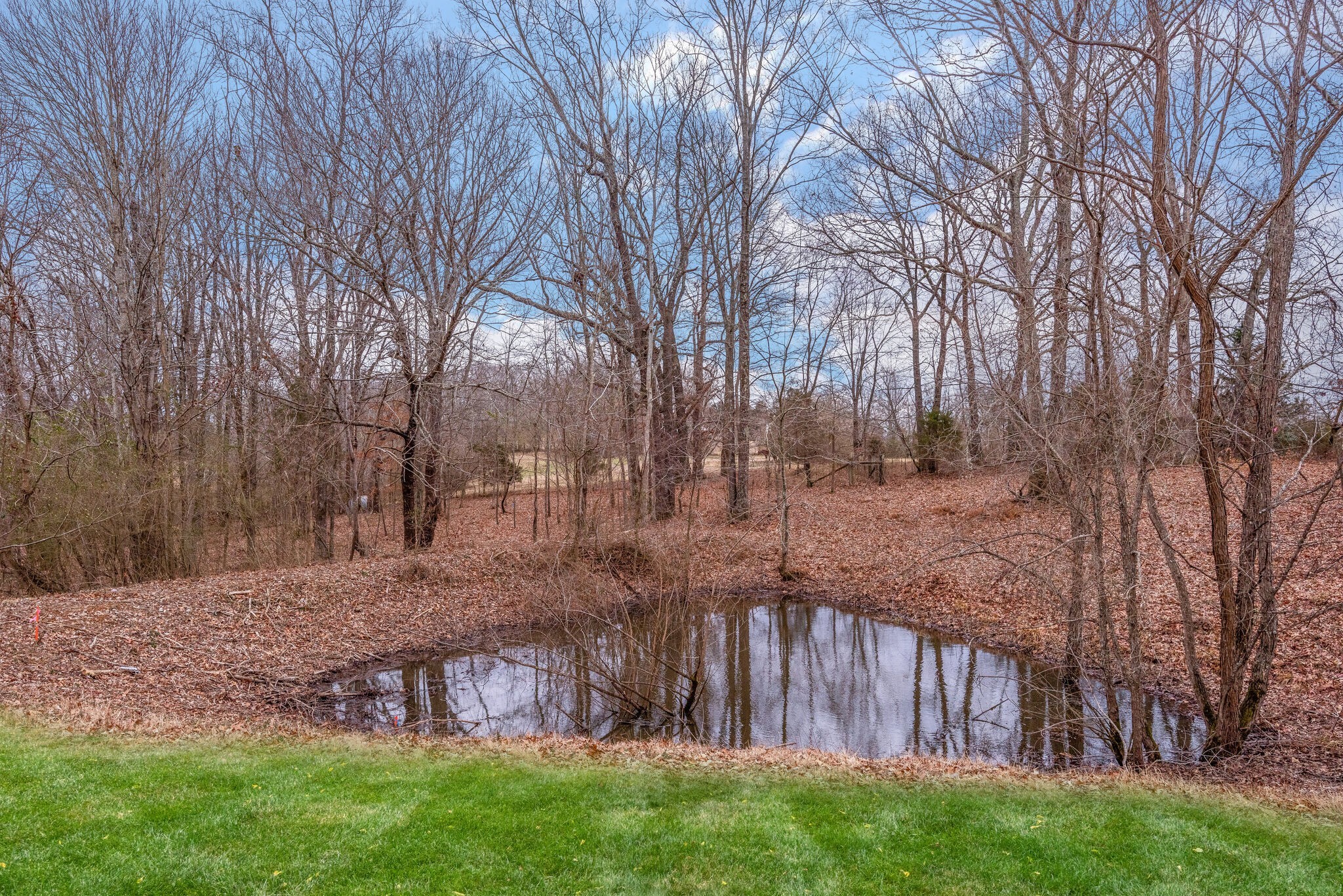 2016 Abiff Road Burns, TN 37029 - Photo 29 of 30 a view of backyard with trees