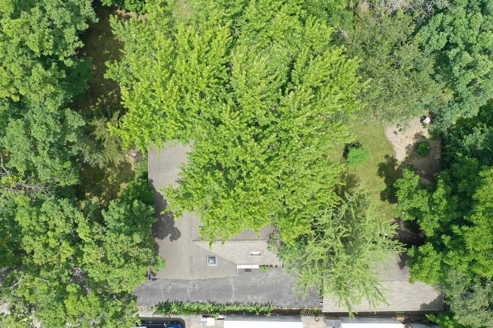 6506 Blaine Place Spring Grove, IL 60081 - Photo 66 of 68