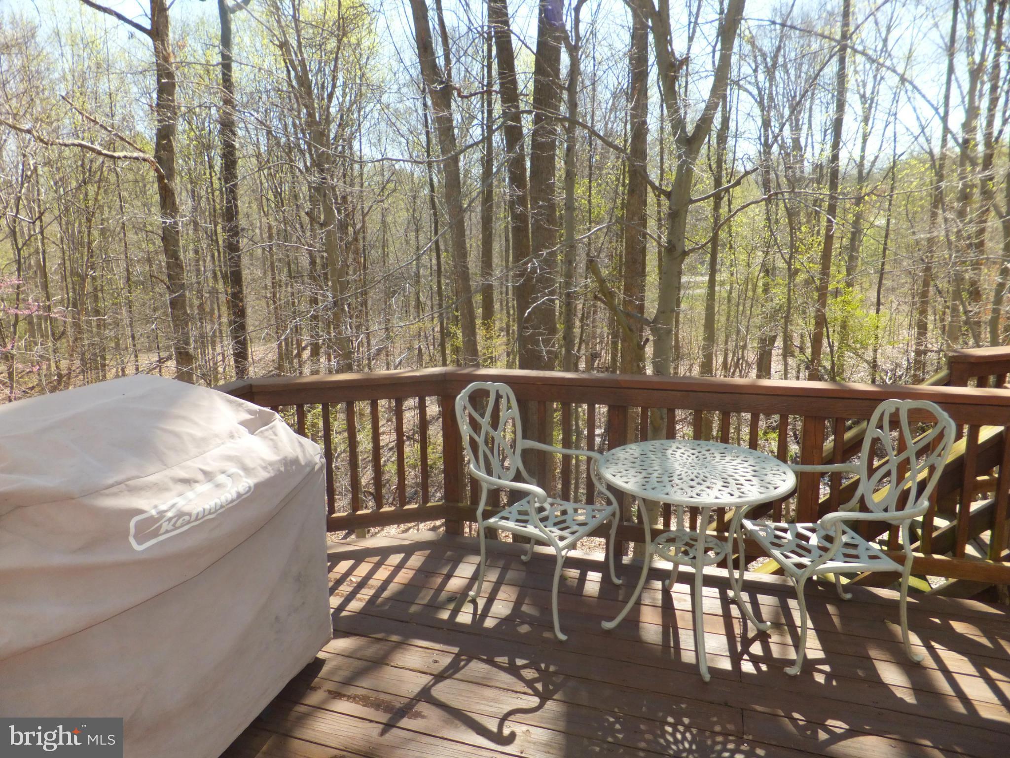 7123 Dryburgh Court Springfield, VA 22152 - Photo 25 of 30 Exterior (Rear)