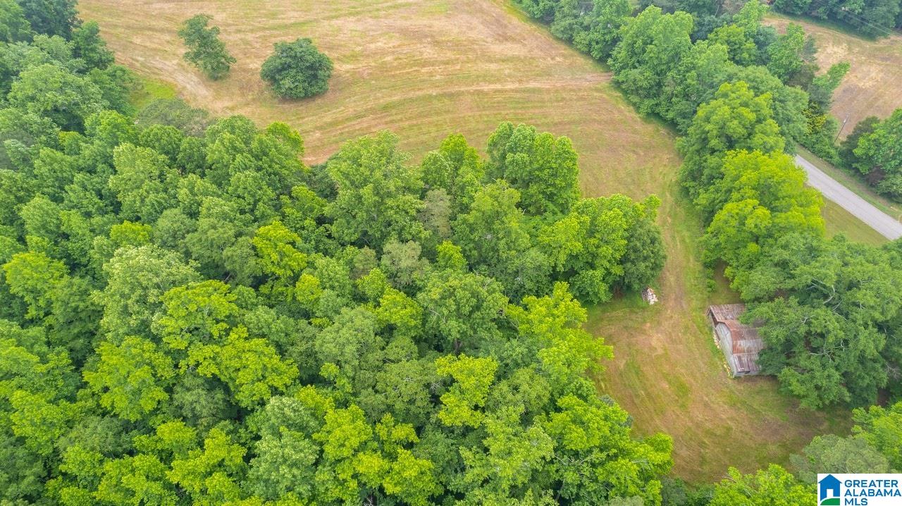 14791 County Road 10, Unit 45 ACRES Ranburne, AL 36273 - Photo 11 of 43