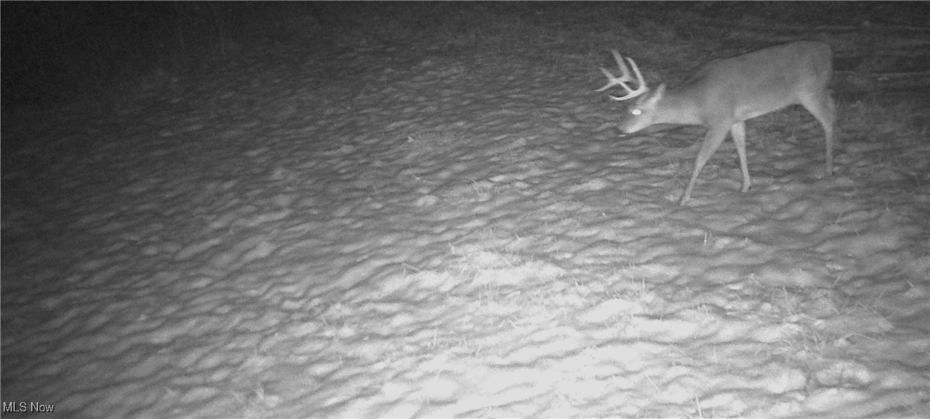 1 County Road Rayland, OH 43943 - Photo 29 of 32 Gallery Image 29