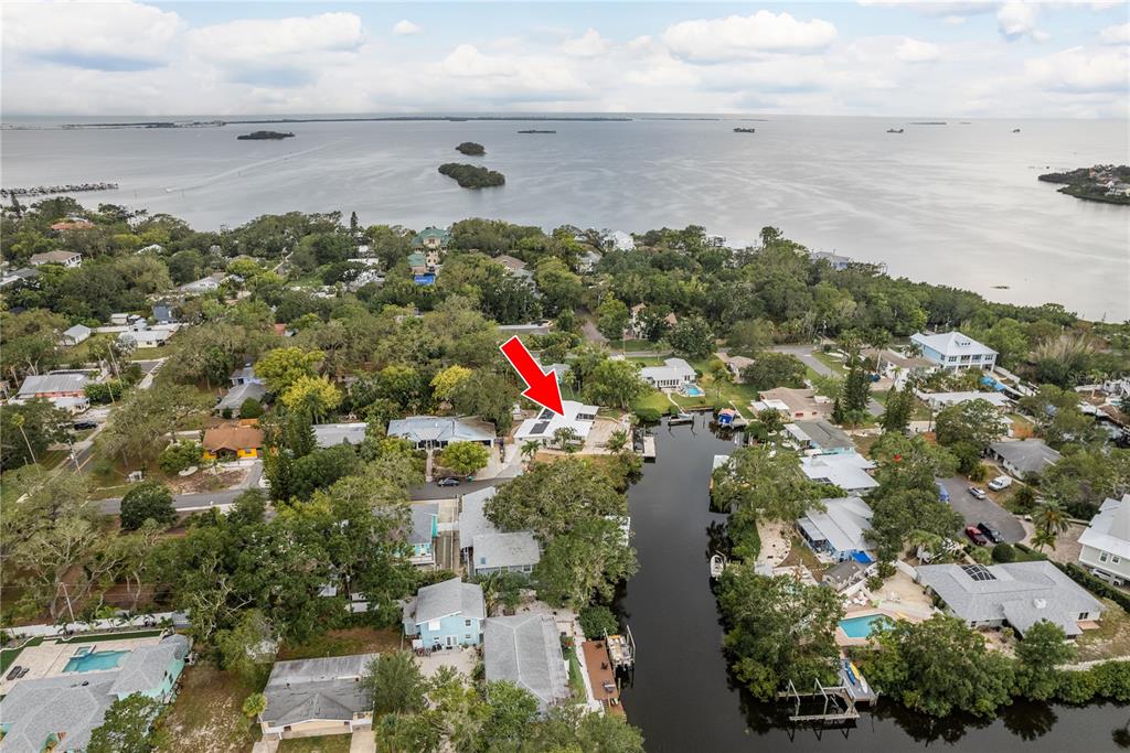 12 Bayou Lane Palm Harbor, FL 34683 - Photo 49 of 52