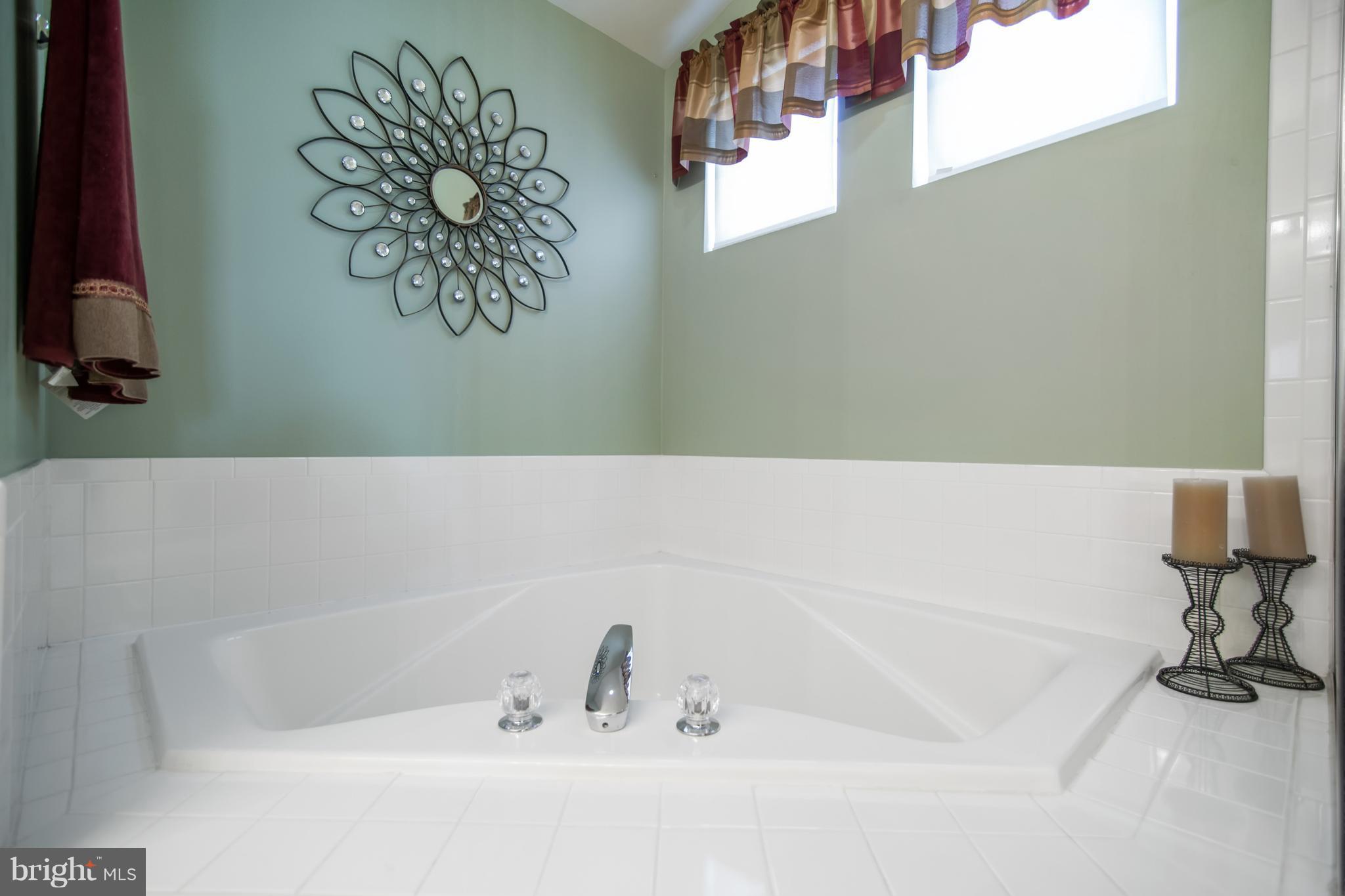 6430 Spring Forest Road Frederick, MD 21701 - Photo 16 of 28 Bath (Master) soaking tub